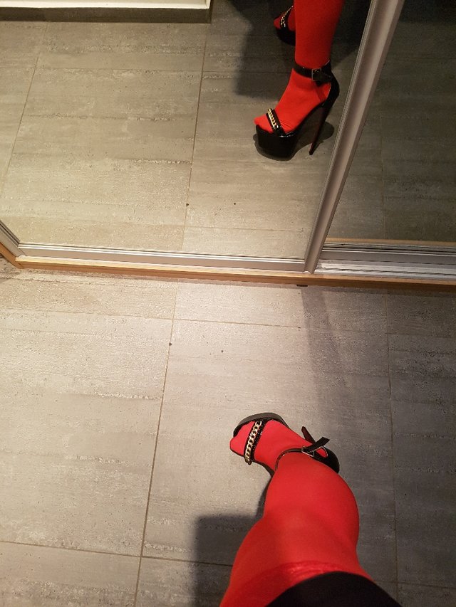 ulegla_suczka1234