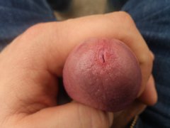 DSC_2373.jpg