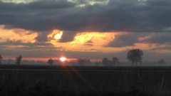 IMAG0272_BURST005.jpg