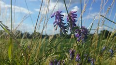 20170703_172941.jpg