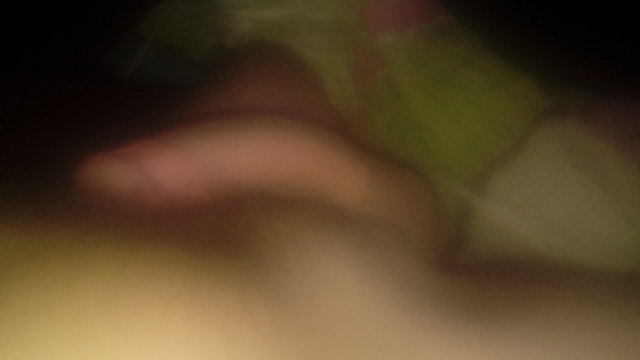 Tomci