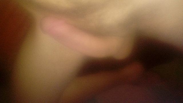 Tomci