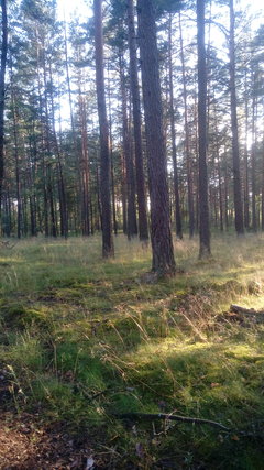 20170705_191713.jpg