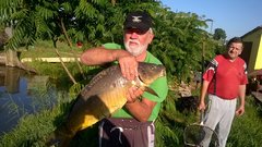 WP_20170707_003.jpg