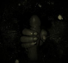 IMG_20170709_140537.jpg