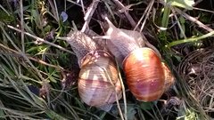 WP_20170706_034.jpg