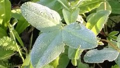 WP_20170706_006.jpg