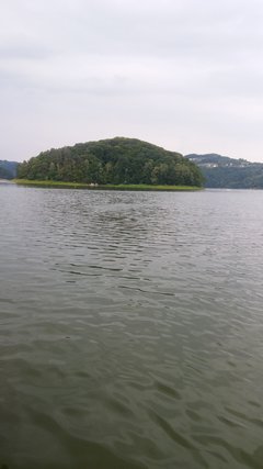 20170711_110155.jpg