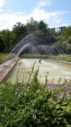 20170711_133326.jpg