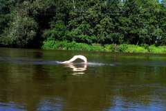 20150805.JPG