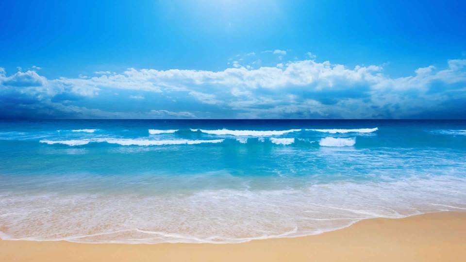 10940479_10153086803632718_8324499489135312031_n.jpg - MimilLove