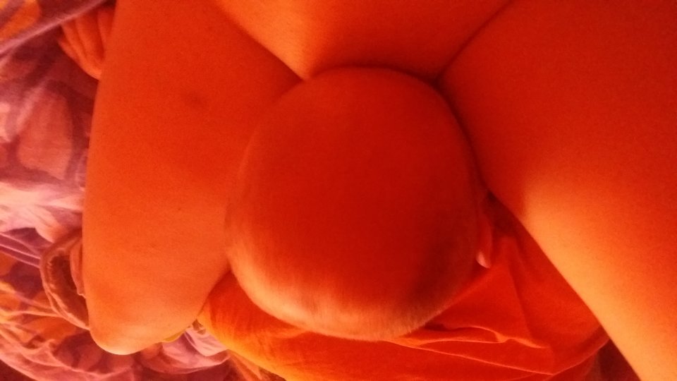 20170712_175351.jpg - para19921996