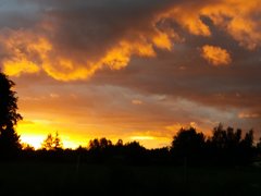20170704_210557.jpg