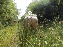 DSCF2081.JPG