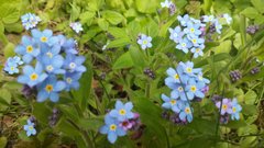 20150424_150704.jpg