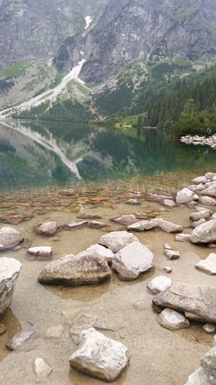 20170716_121819.jpg