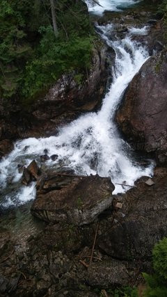 20170716_095113.jpg