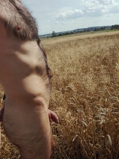 IMG_20170720_162227.jpg