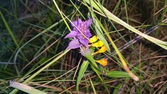 20150627_180623.jpg