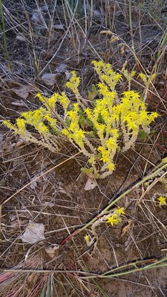 20150627_182447.jpg