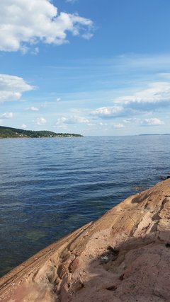 20170723_165355.jpg