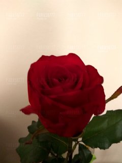 IMG_20170617_213913_HDR.jpg