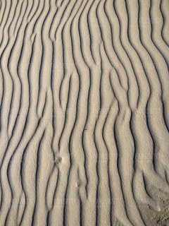 IMG_20170709_184330_HDR.jpg