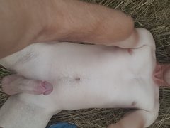 20170723_184054.jpg