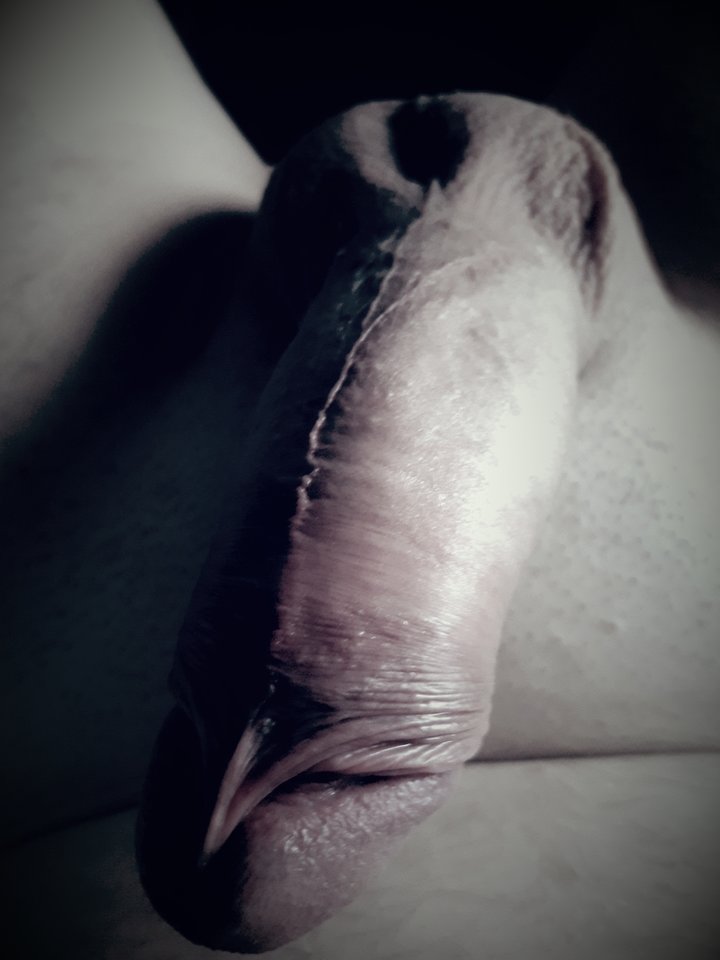 20170724_070850.jpg - dino8
