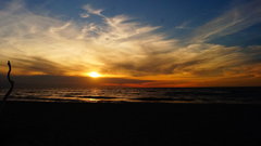 DSC07218.JPG