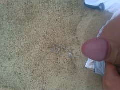 IMG_20170721_142808.jpg