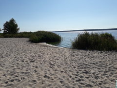 20170727_084104.jpg