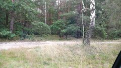 IMG_20170727_123623.jpg