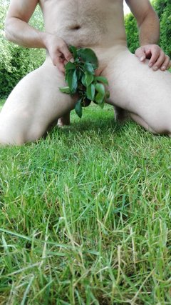 IMG_20170624_104711.jpg