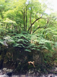 IMG_20170730_151101_607.jpg