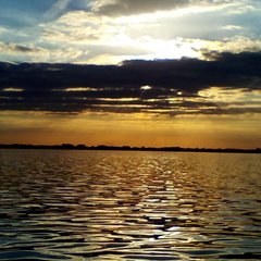 IMG_20170730_180531_453.jpg