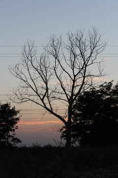 IMG_0641.JPG
