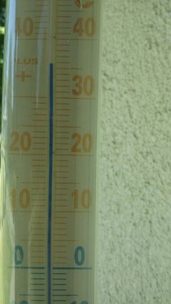 20170801_143852.jpg