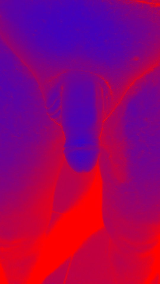 2016-11-09_21.37.41_fx.jpg - totylkoja78