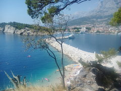 IMG_20170801_141136.jpg
