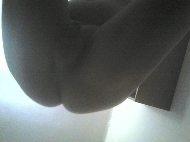 Rober28811