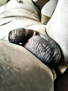 img1501821921218.jpg