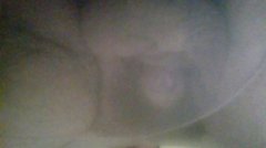 20170613_124453.jpg