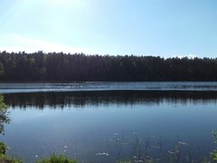 20170526_170215.jpg