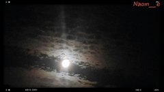 nocne ścieżki...
