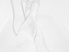 IMG_20170805_071810.jpg