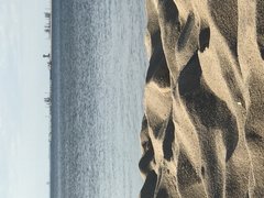 IMG_5875.JPG