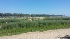 20170730_143443.jpg