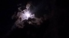 20170804_230622.jpg