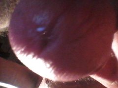 20170806_040610.jpg